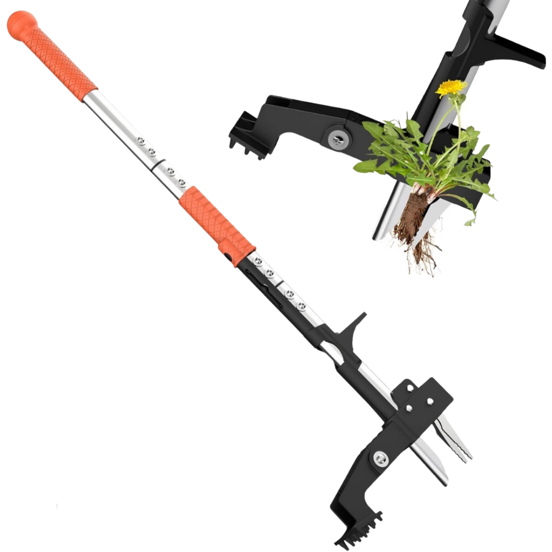 Dual-spring lawn aerator in use on grass